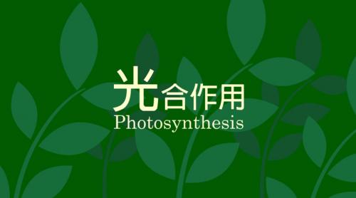 光合作用