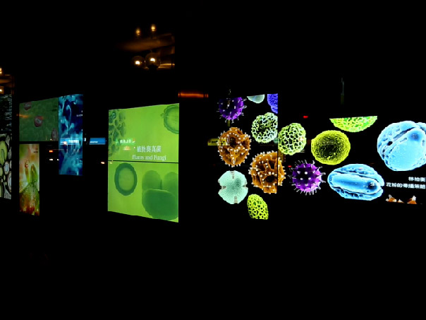 國立自然科學博物館<br>National Museum of Natural Science